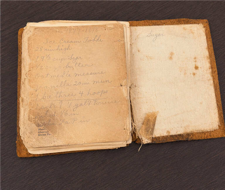The family recipe book
